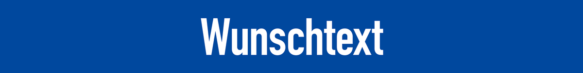 Straßennamenschild bis ca. 24 Zeichen, blau, Alu, reflektierend, 1185x150 mm
