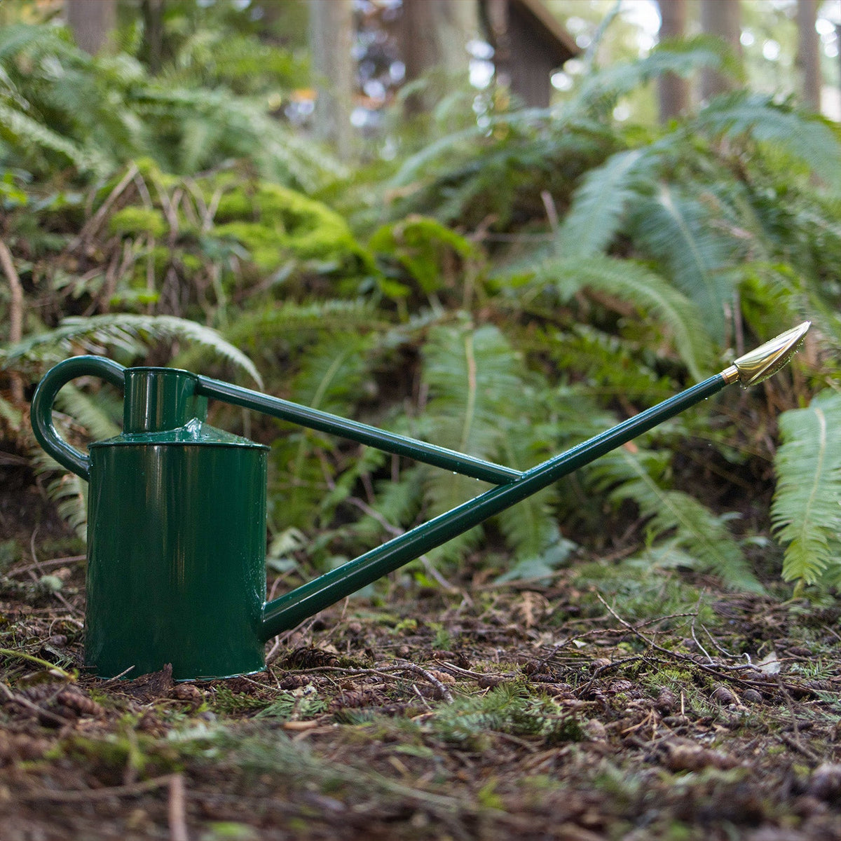 The Warley Fall (Two Gallon)