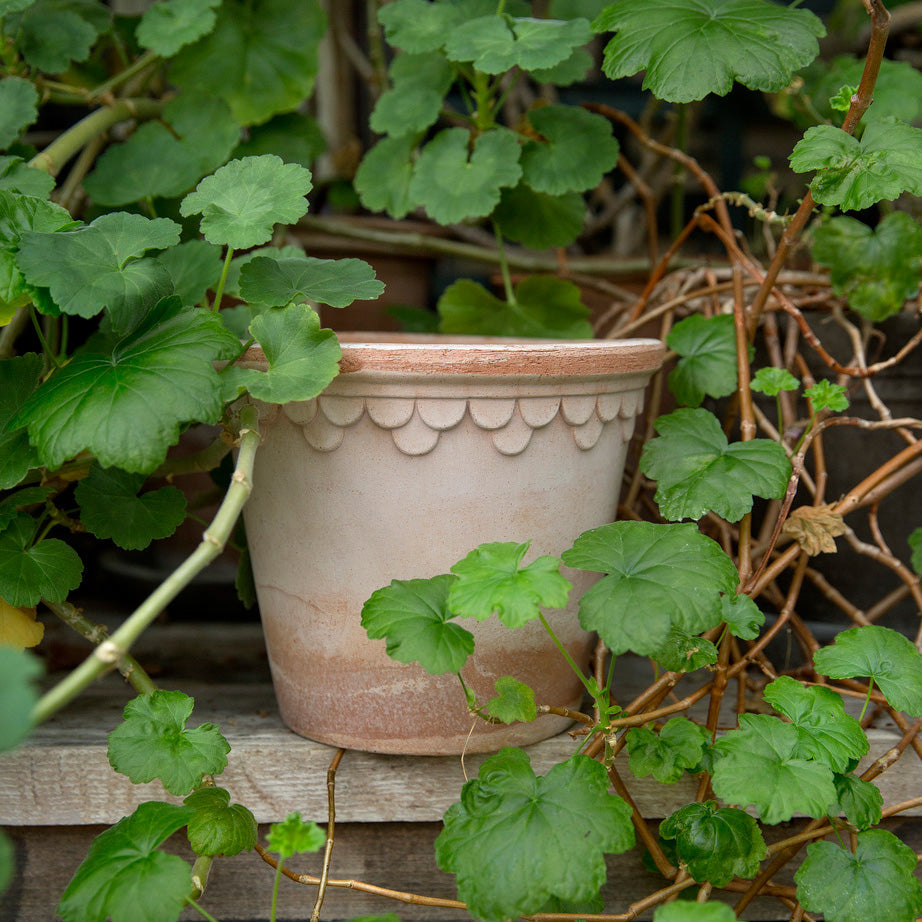 Copenhagen Ø18 Planter & Saucer