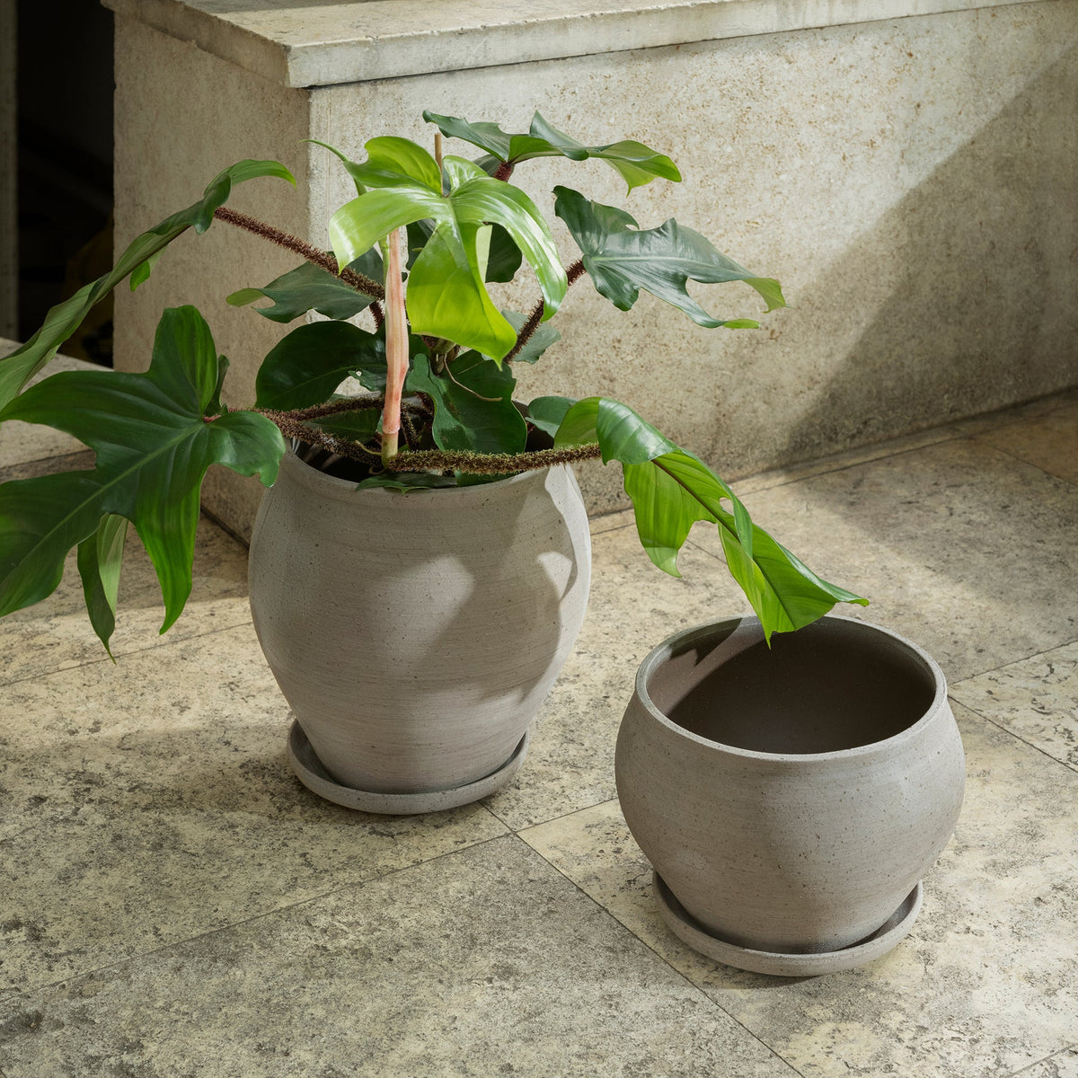 Delphi Ø22 Tall Planter & Saucer