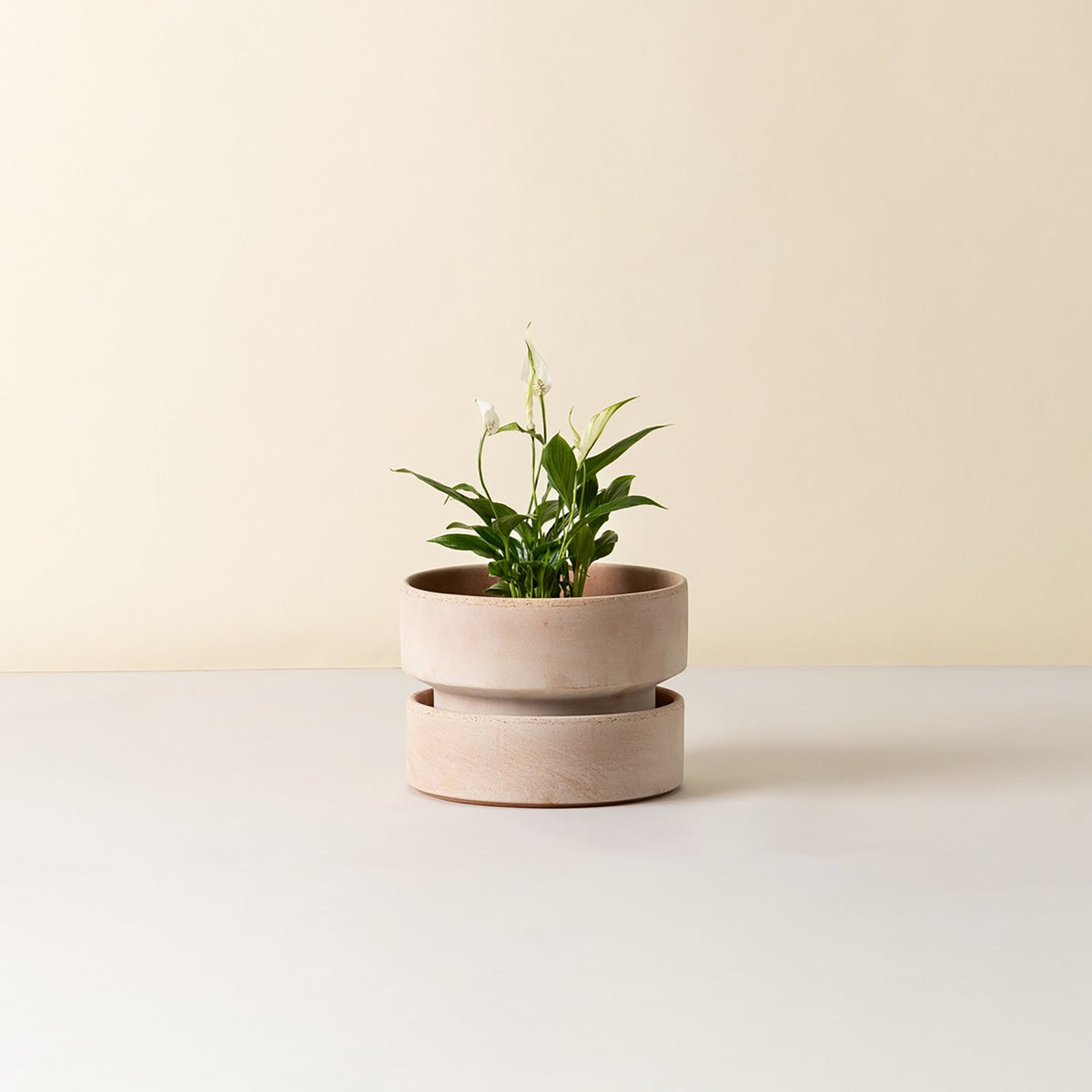 Hoff Ø25 Low Planter