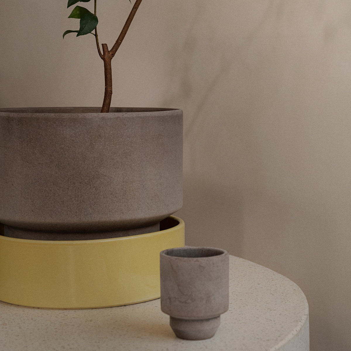 Hoff Ø8 Planter & Saucer - Set of 2