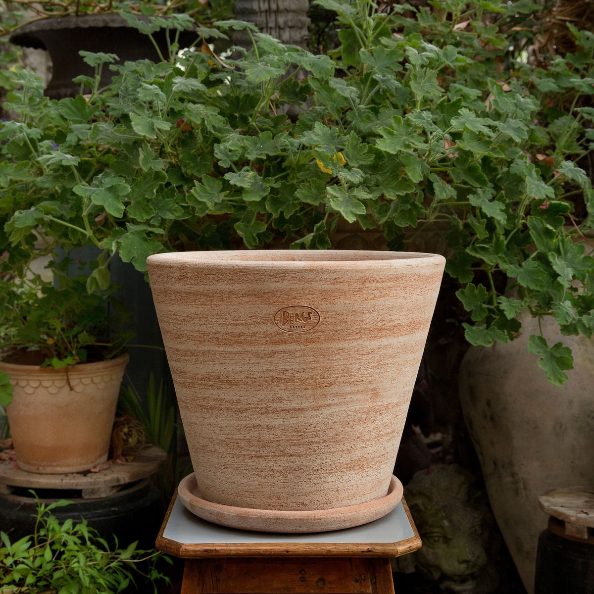 Julie Ø30 Planter & Saucer