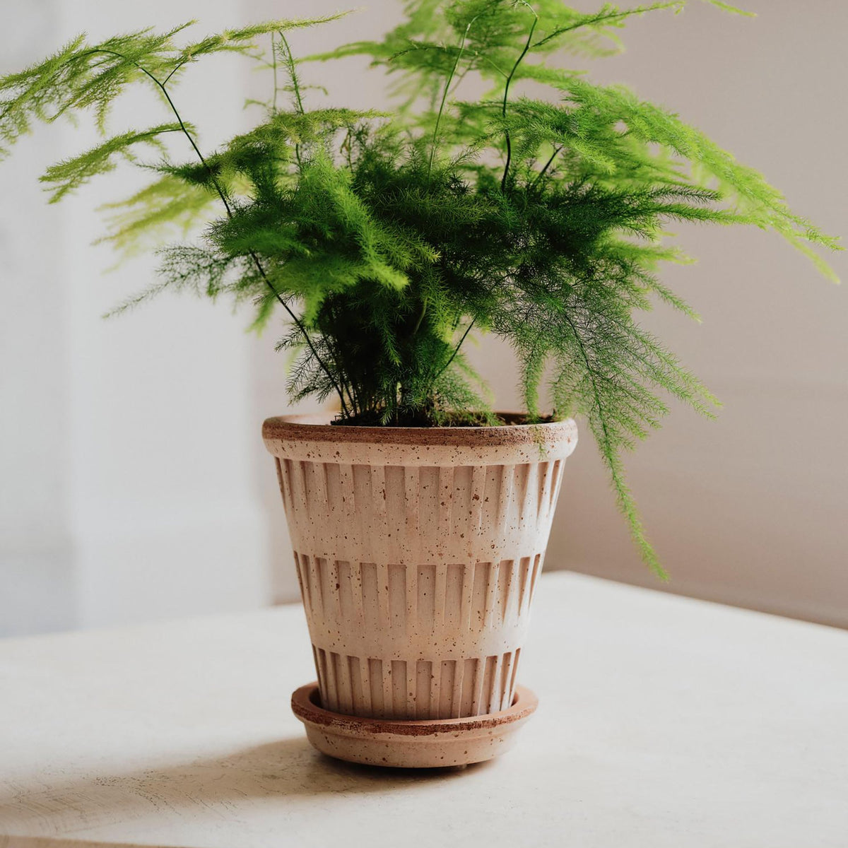 Pantheon Ø14 Planter & Saucer