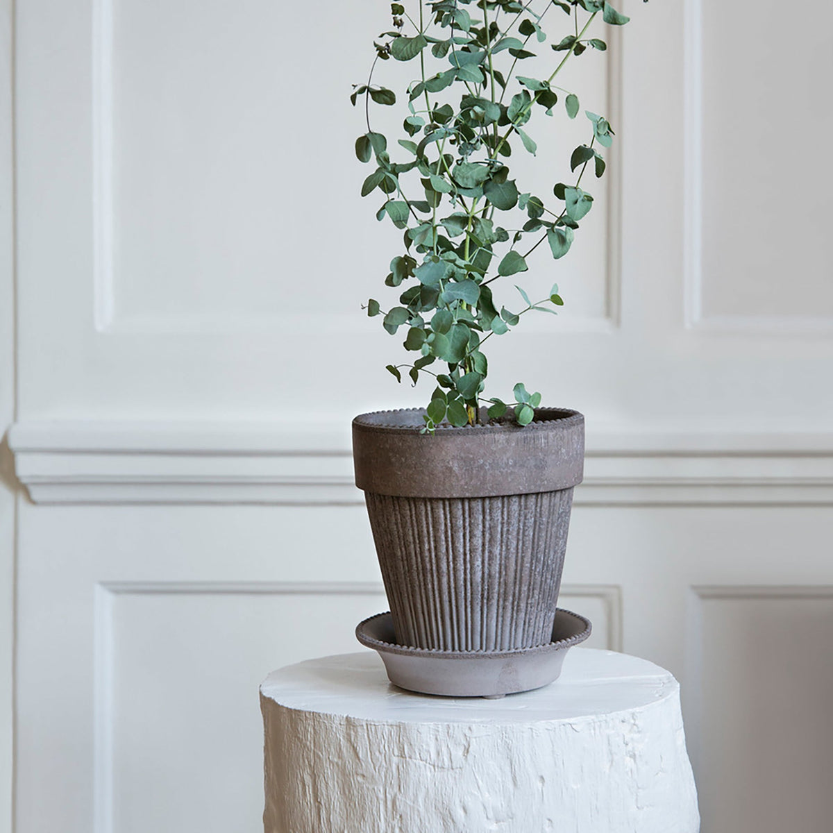 Simona Ø18 Planter & Saucer Gift Set