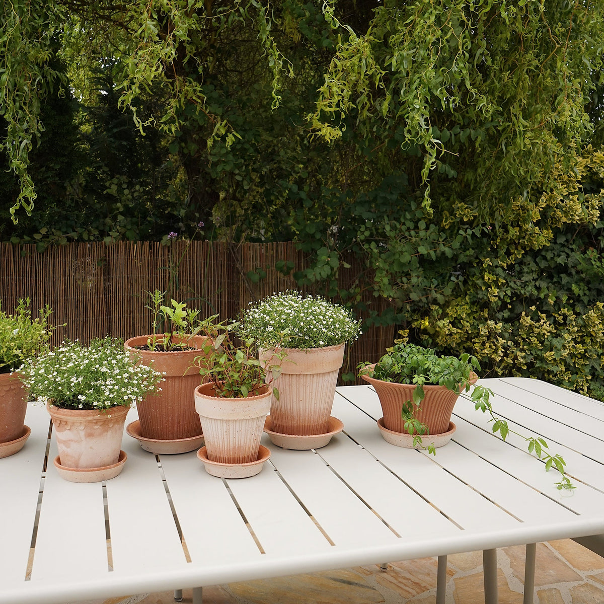 Simona Ø18 Planter & Saucer Gift Set