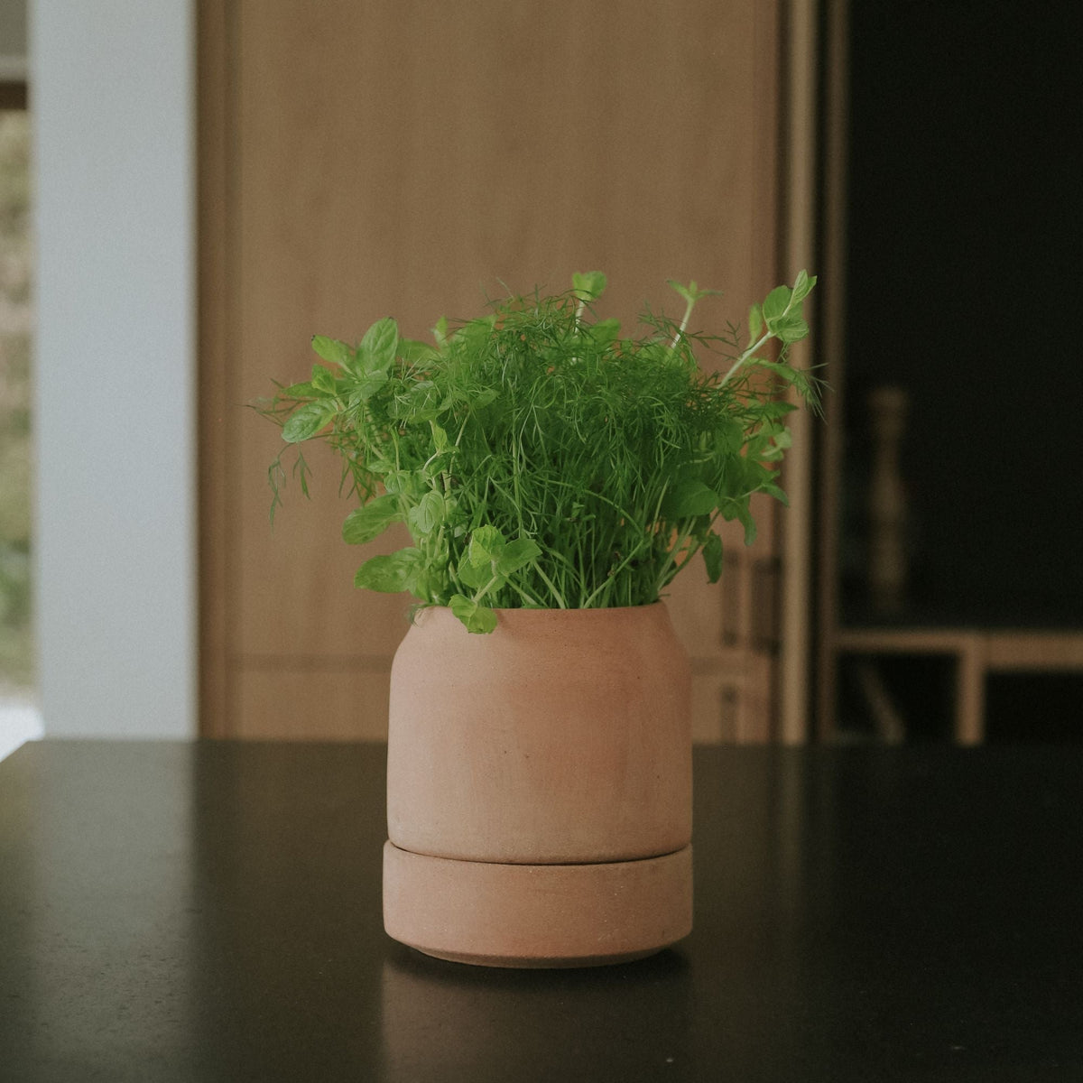 Viva Ø14 Self-Watering Planter & Saucer