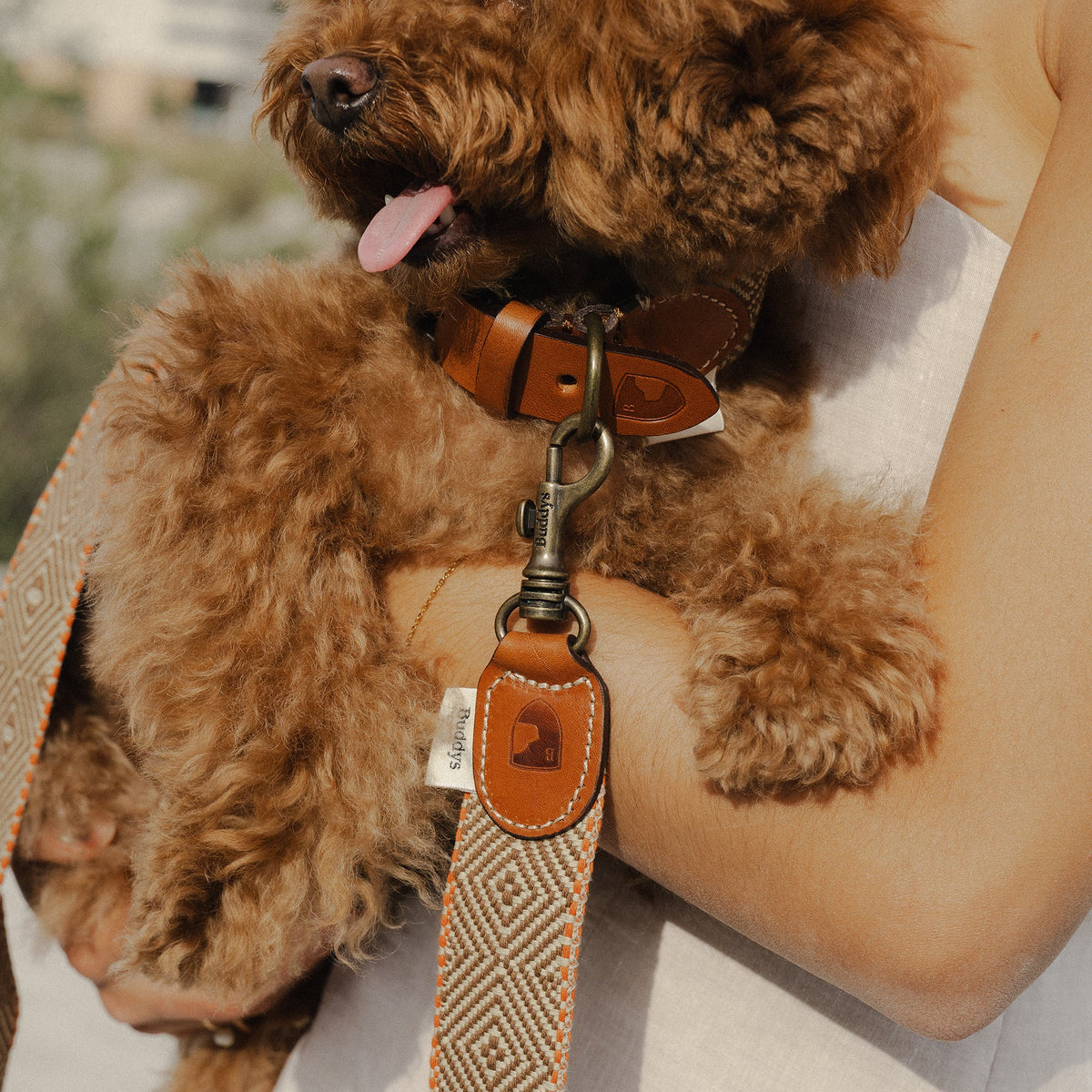 Capri Isola Woven Cotton Dog Leash - Beige