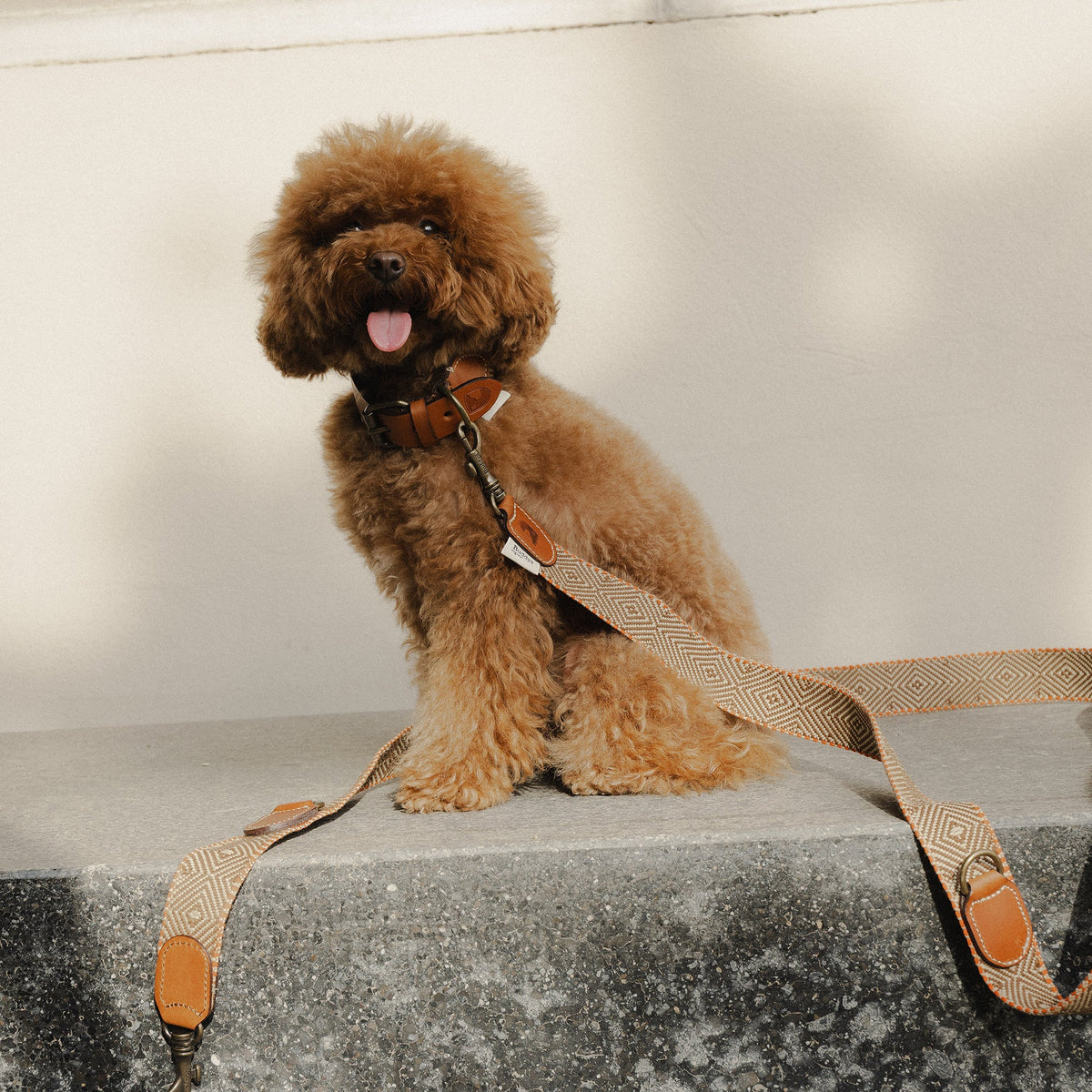 Capri Isola Woven Cotton Dog Leash - Beige