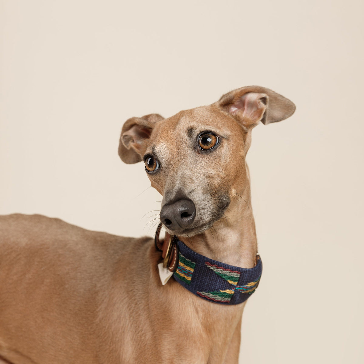 Etna Woven Cotton Dog Collar - Navy