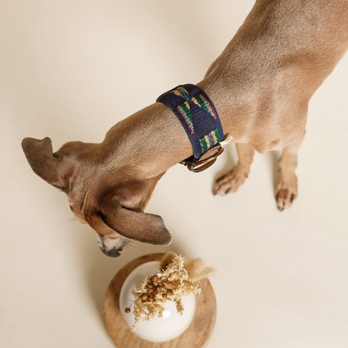 Etna Woven Cotton Dog Collar - Navy