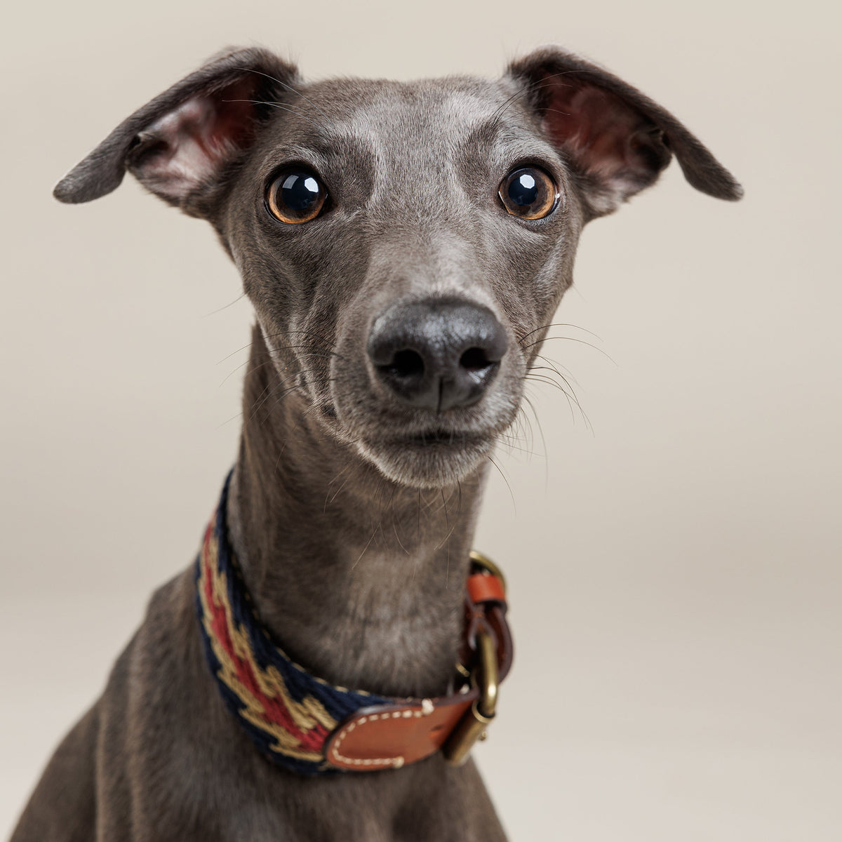 Peruvian Arrow Woven Cotton Dog Collar - Navy