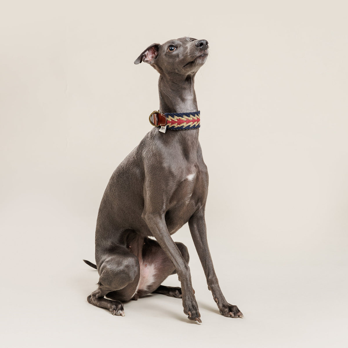 Peruvian Arrow Woven Cotton Dog Collar - Navy