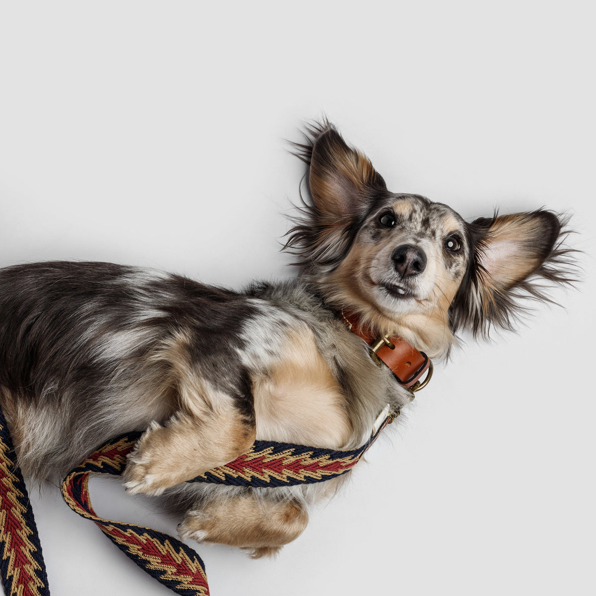 Peruvian Arrow Woven Cotton Dog Leash - Navy