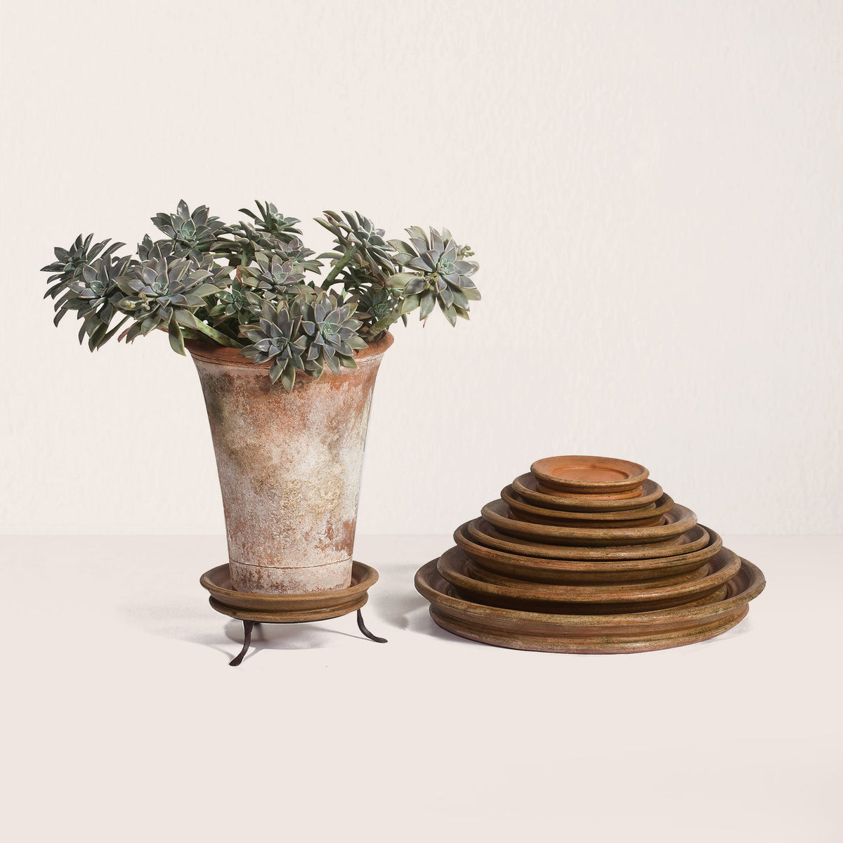 Aged Terracotta Saucer - X-Large