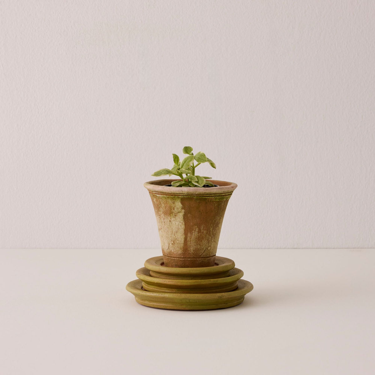 Aged Terracotta Saucer - X-Small