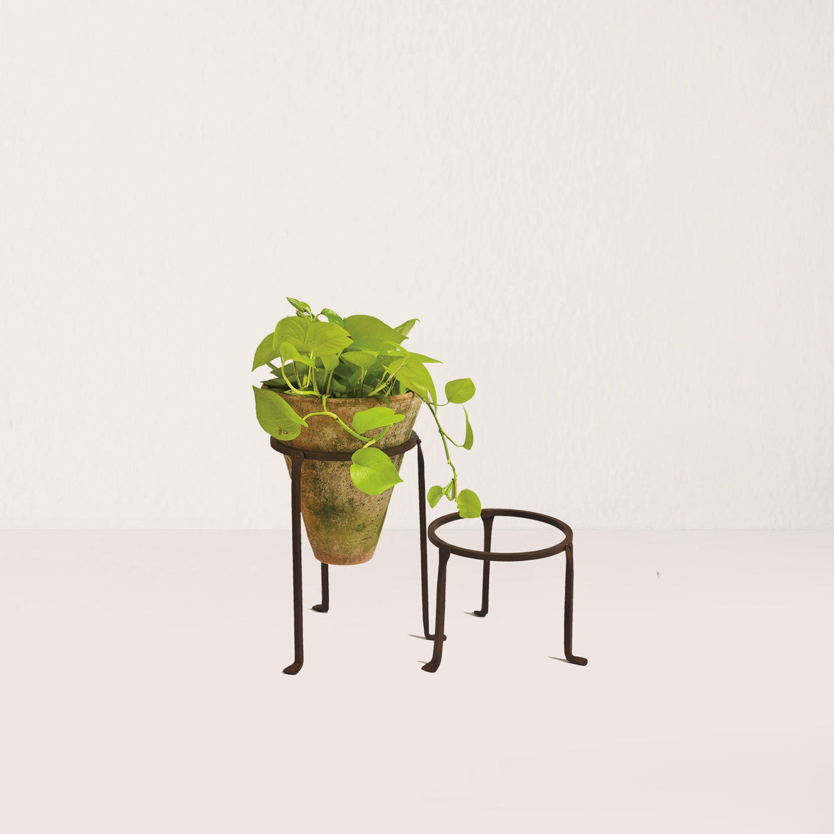 Iron Plant Stand - 8" Diameter