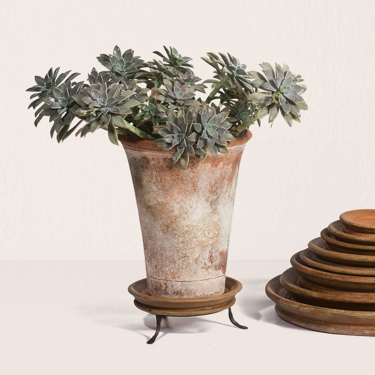 Iron Planter Trivet