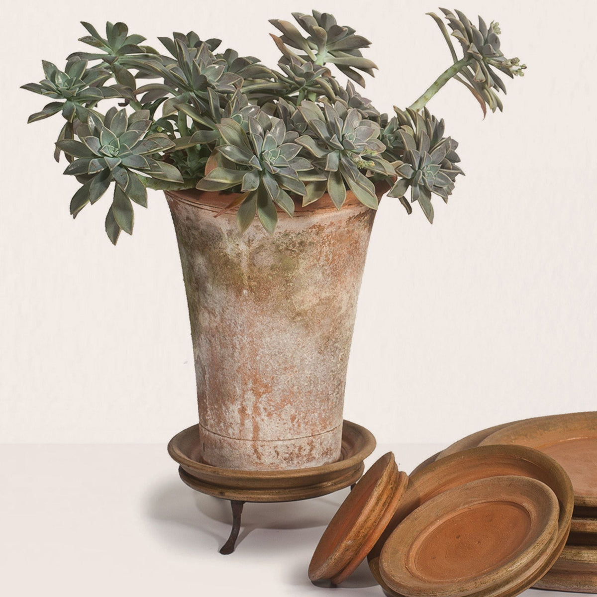Iron Planter Trivet