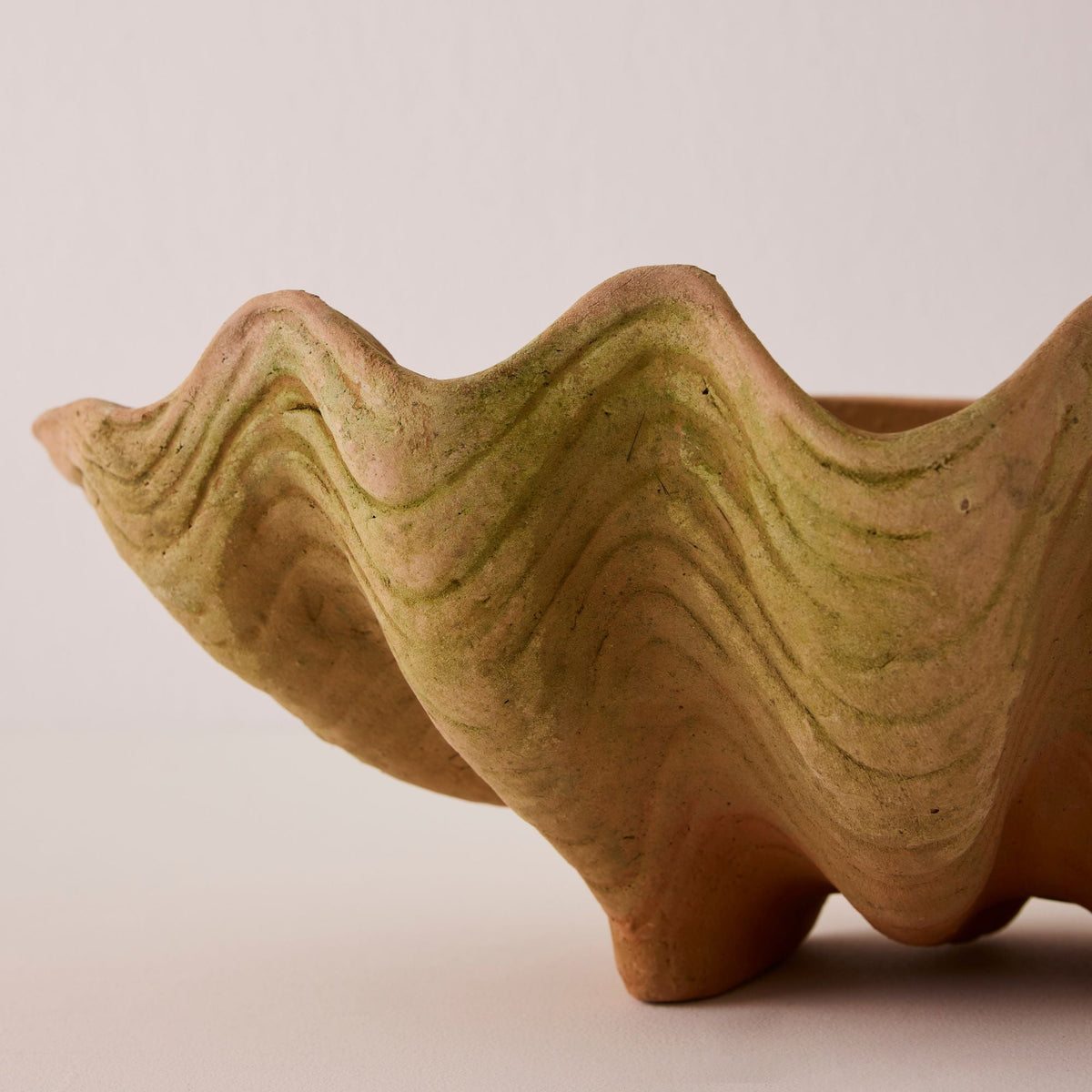 Aged Conch Shell Planter - Large