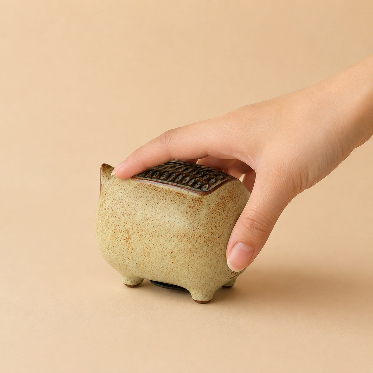 Pig Money Bank