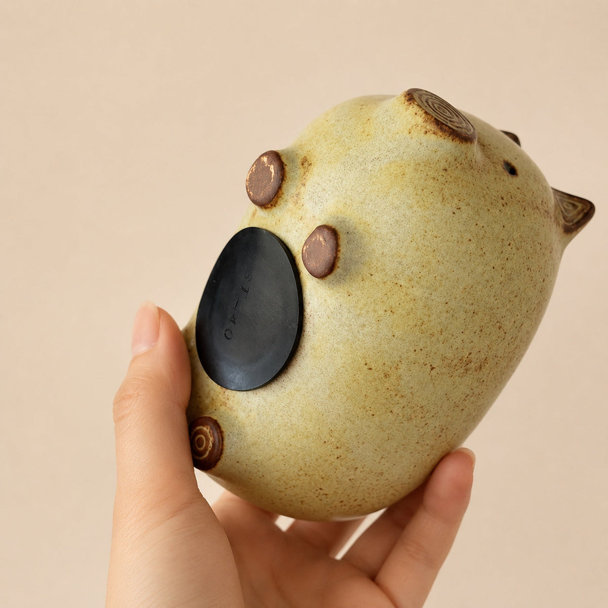 Pig Money Bank