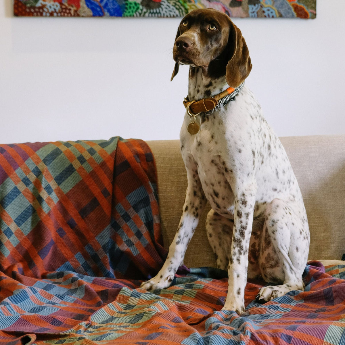 Fido Cotton Dog Blanket - Stella - Large