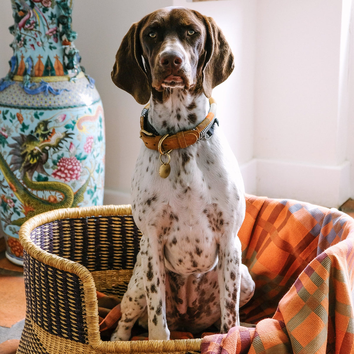 Fido Cotton Dog Blanket - Ginger - Standard