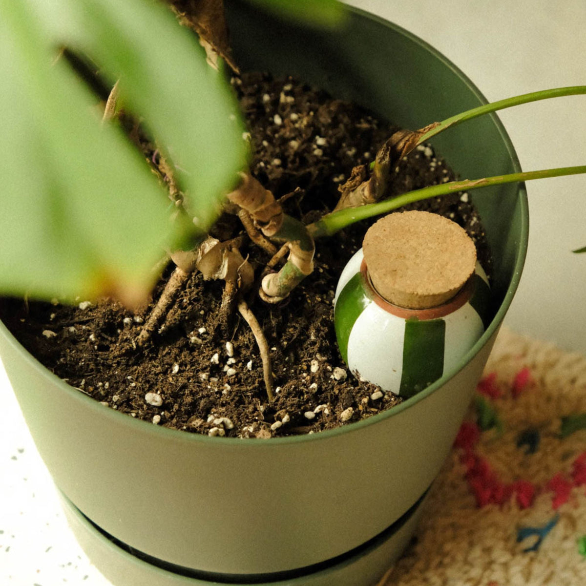 Mini Ollas Self-Watering Pots - Glaze- Set of 3