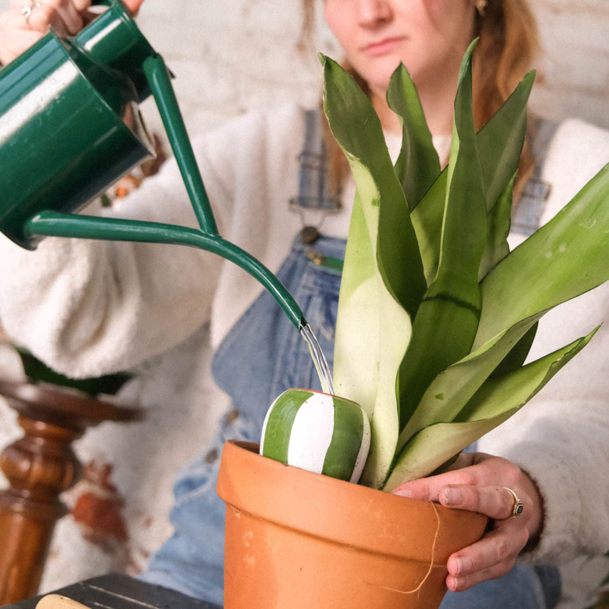 Mini Ollas Self-Watering Pots - Glaze- Set of 3