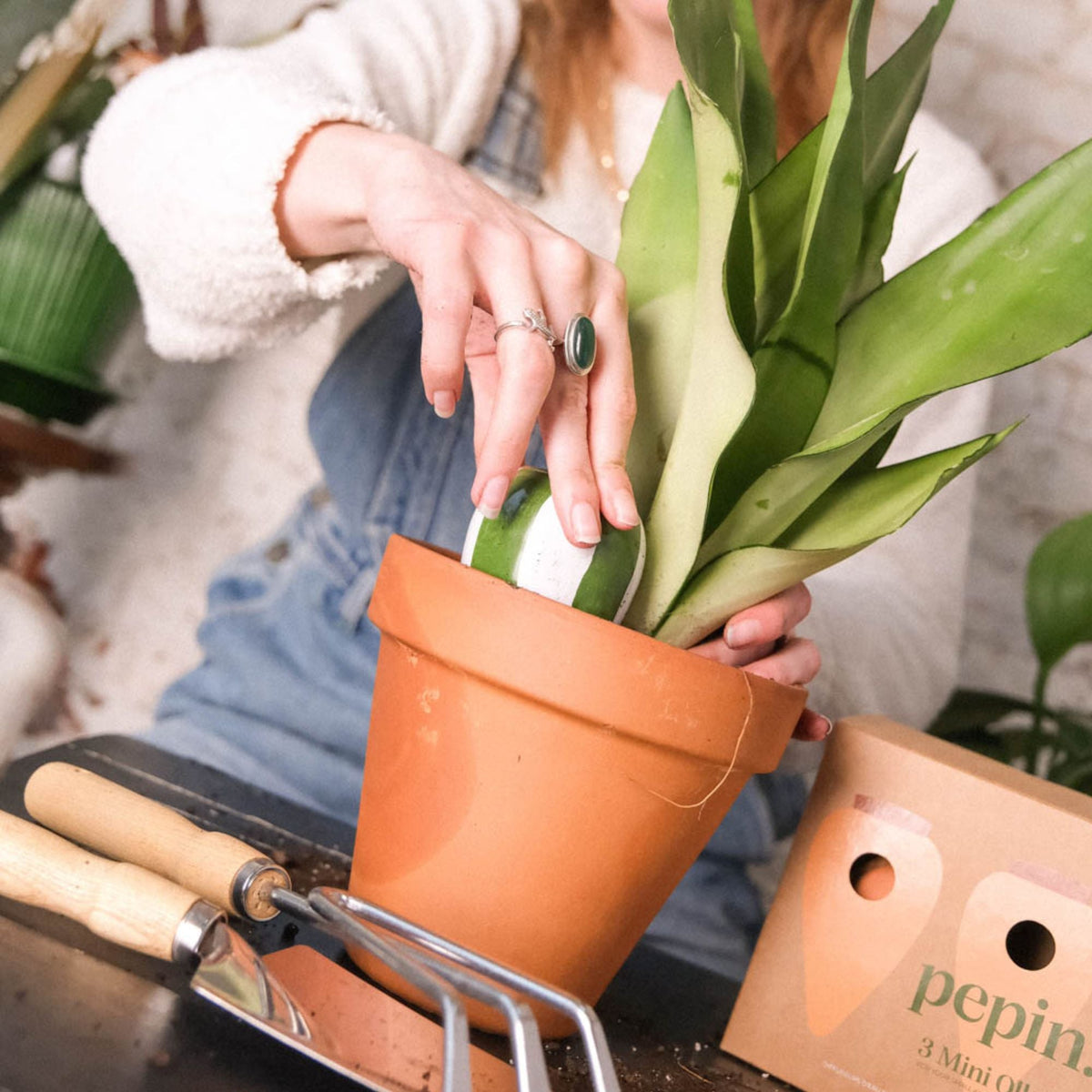 Mini Ollas Self-Watering Pots - Glaze- Set of 3