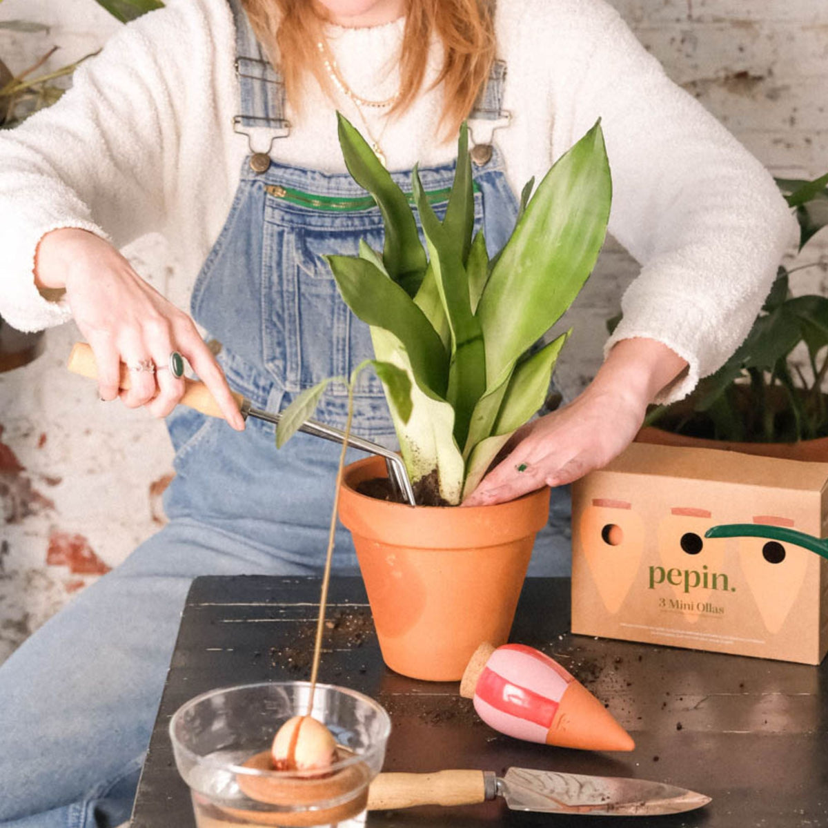 Mini Ollas Self-Watering Pots - Glaze- Set of 3