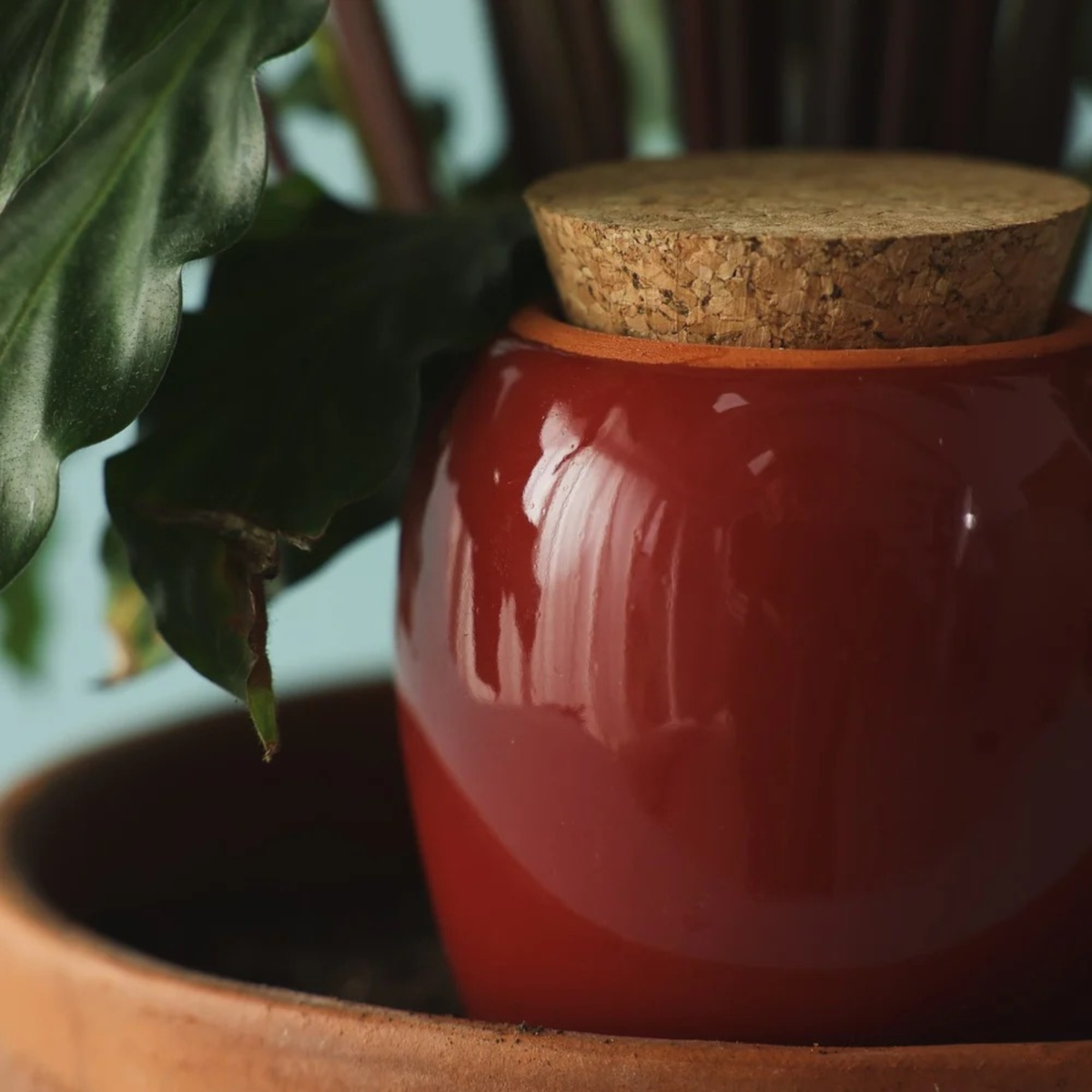 Olla Self-Watering Pot - Burgundy Glaze