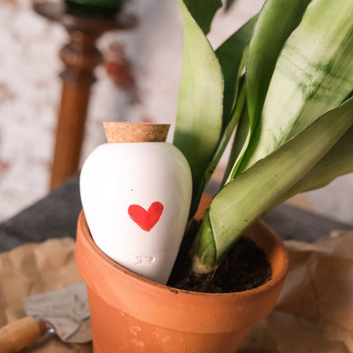 Olla Self-Watering Pot - Glaze