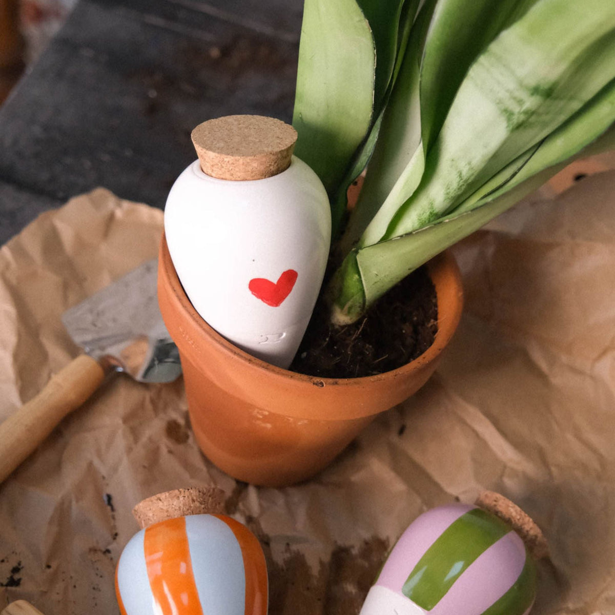 Olla Self-Watering Pot - Glaze