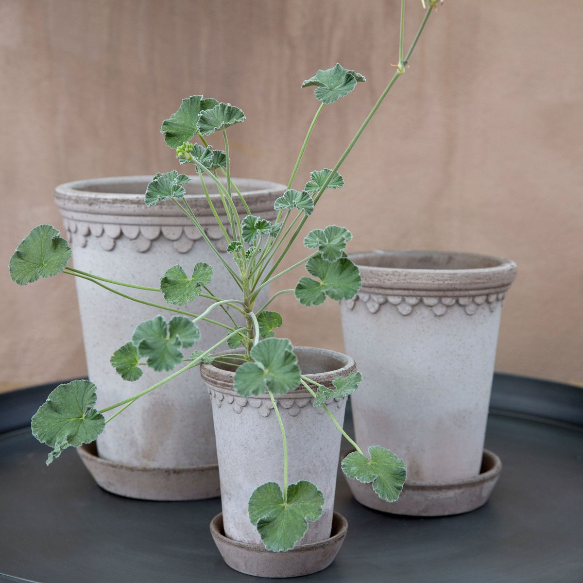 Copenhagen Ø18 Tall Planter & Saucer