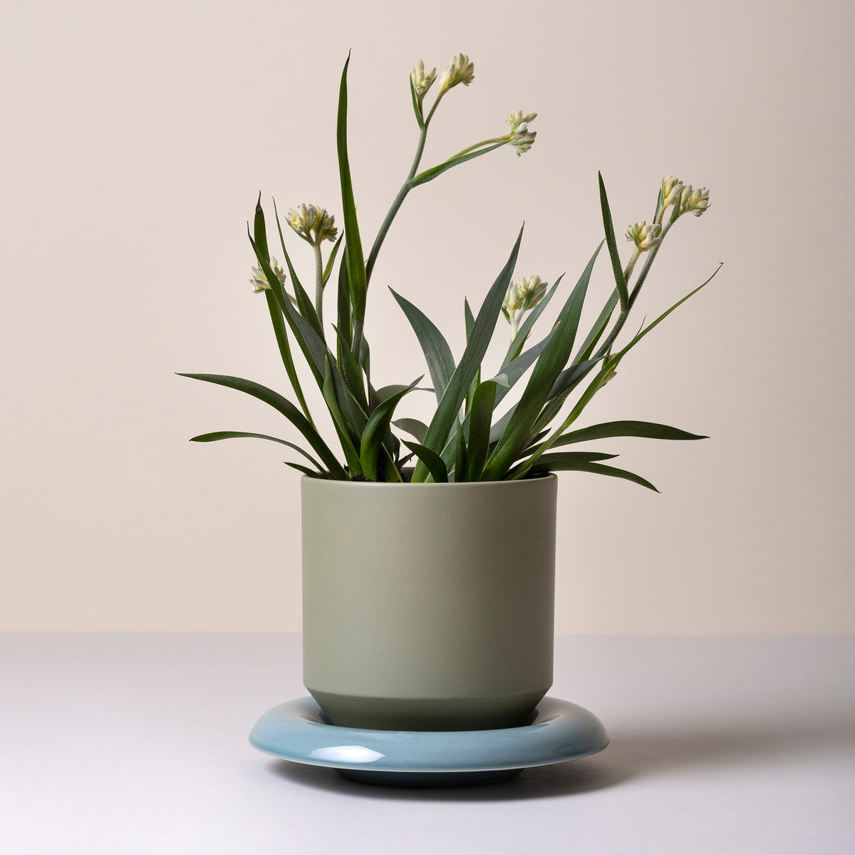 Lily Ø14 Planter