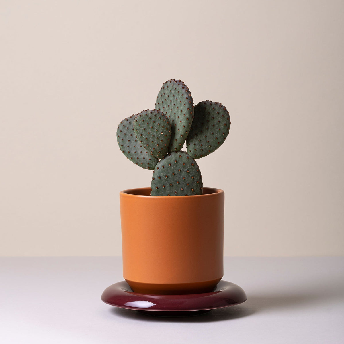 Lily Ø18 Planter