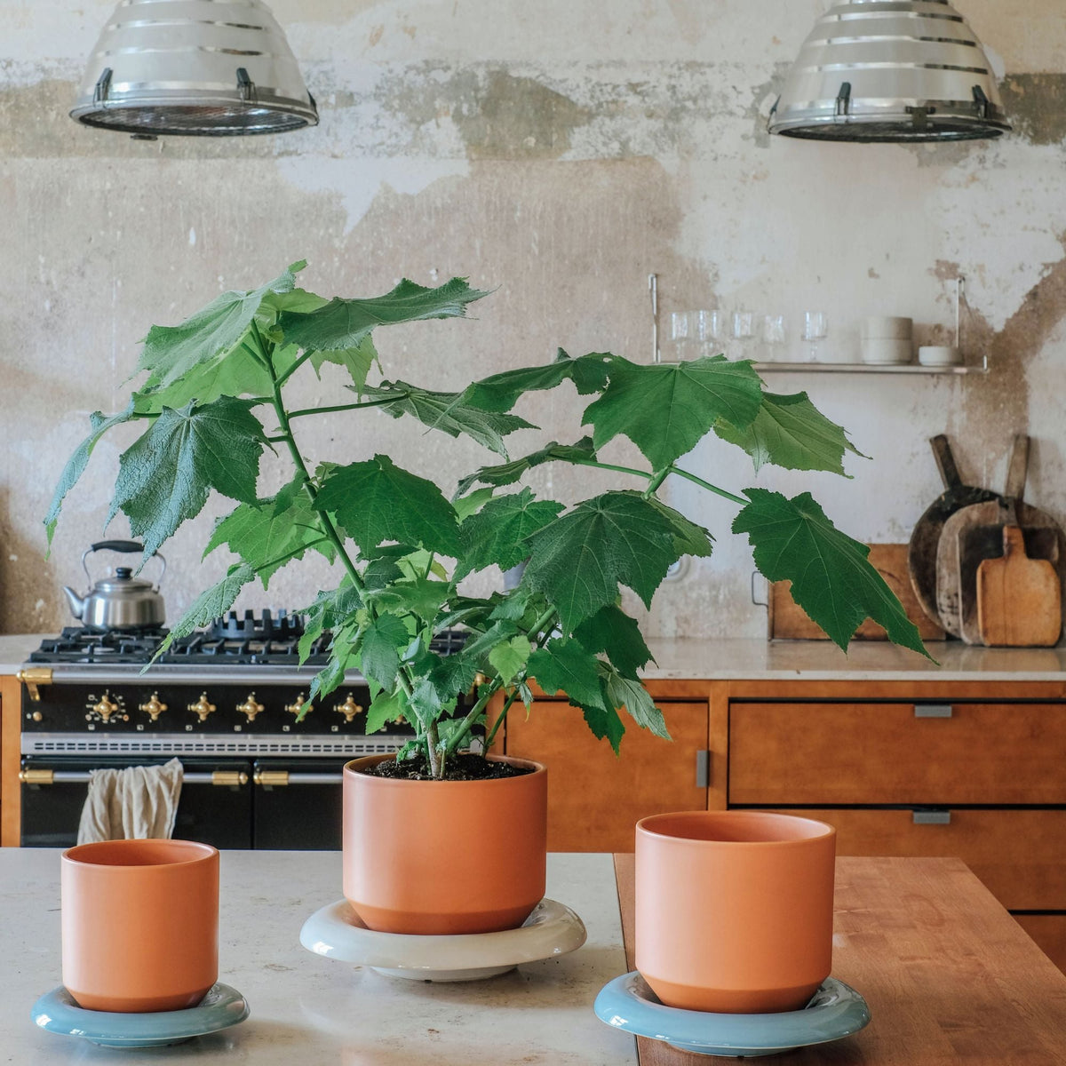 Lily Ø18 Planter