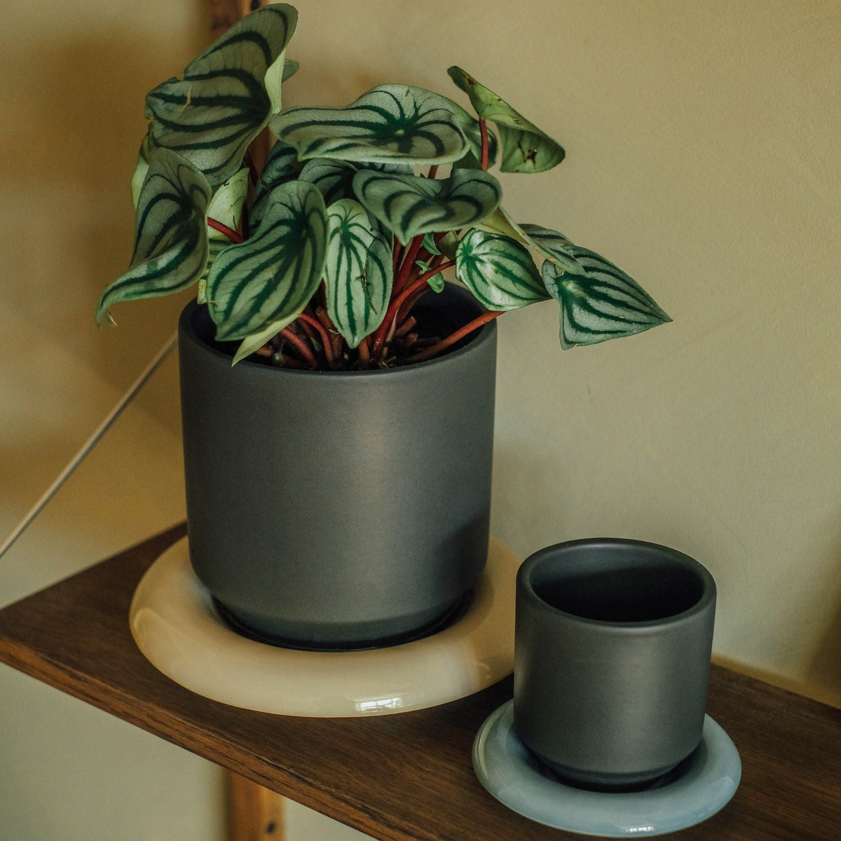Lily Ø14 Planter