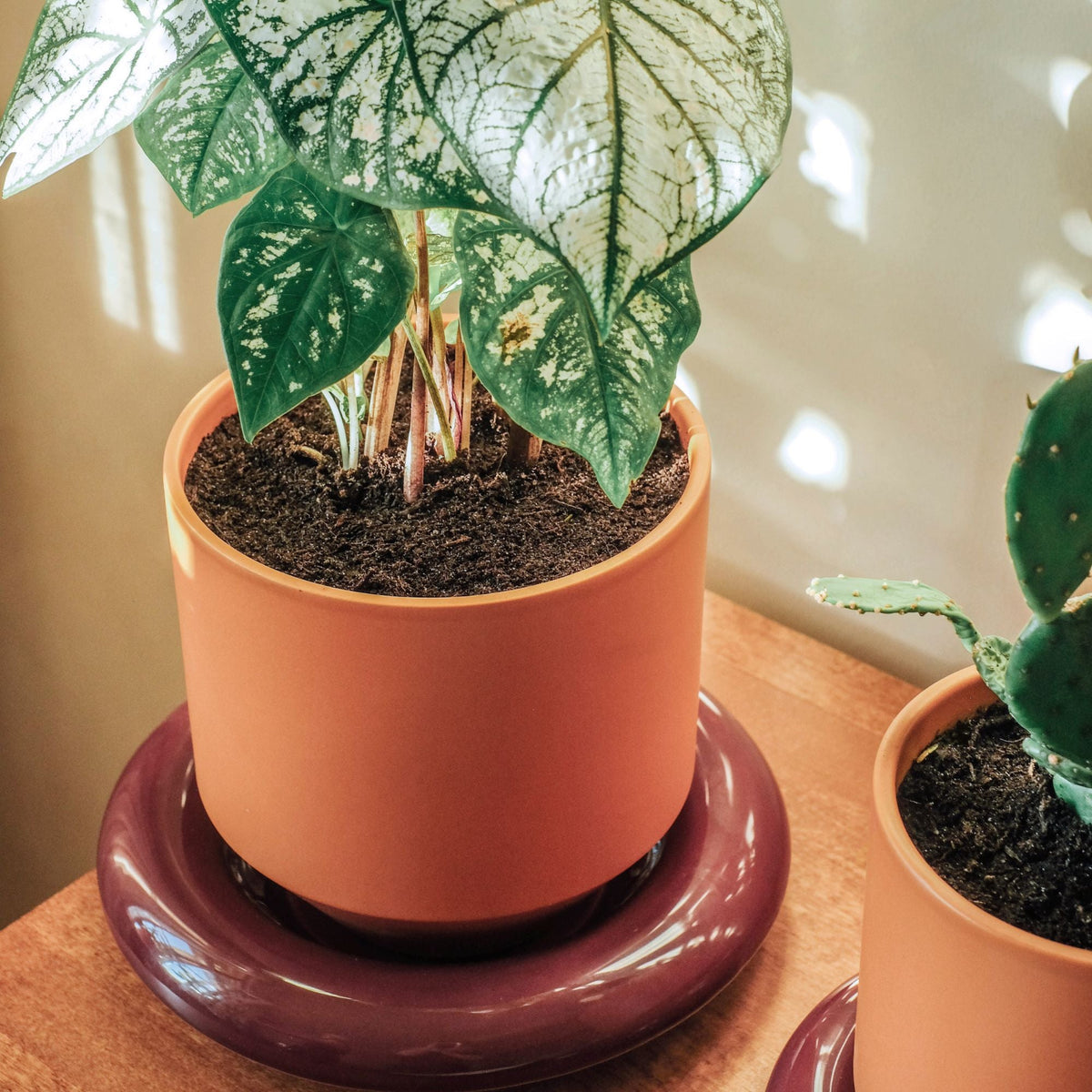 Lily Ø18 Planter