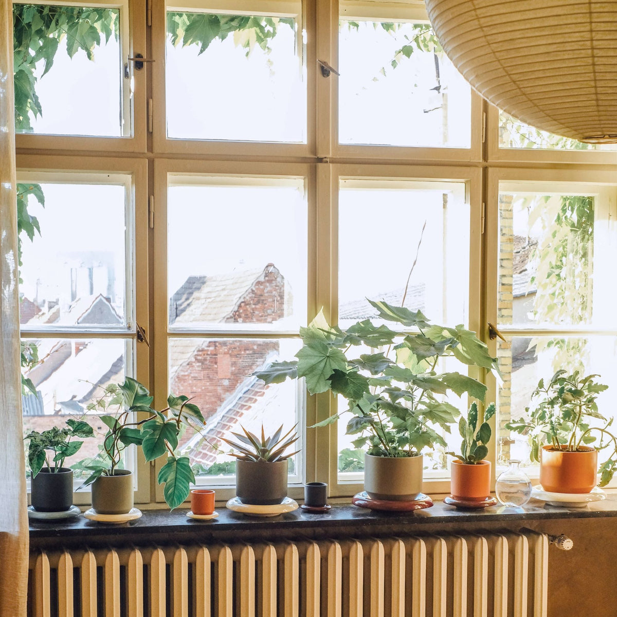Lily Ø18 Planter
