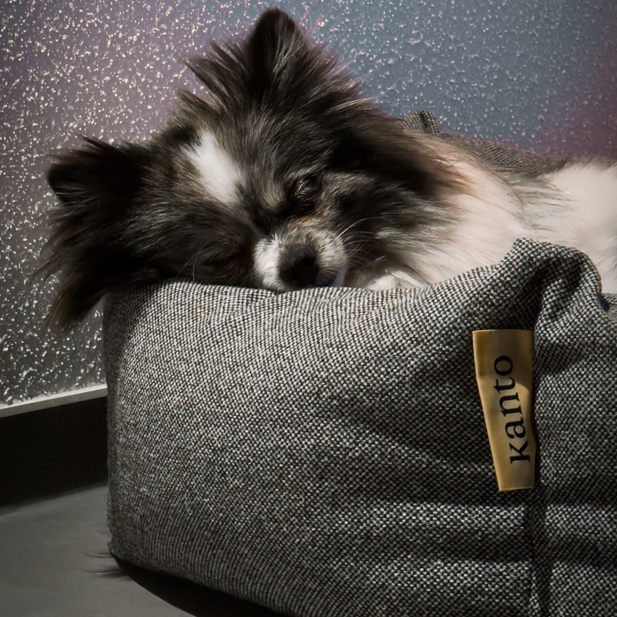 Luoto Dog Bed - Premium