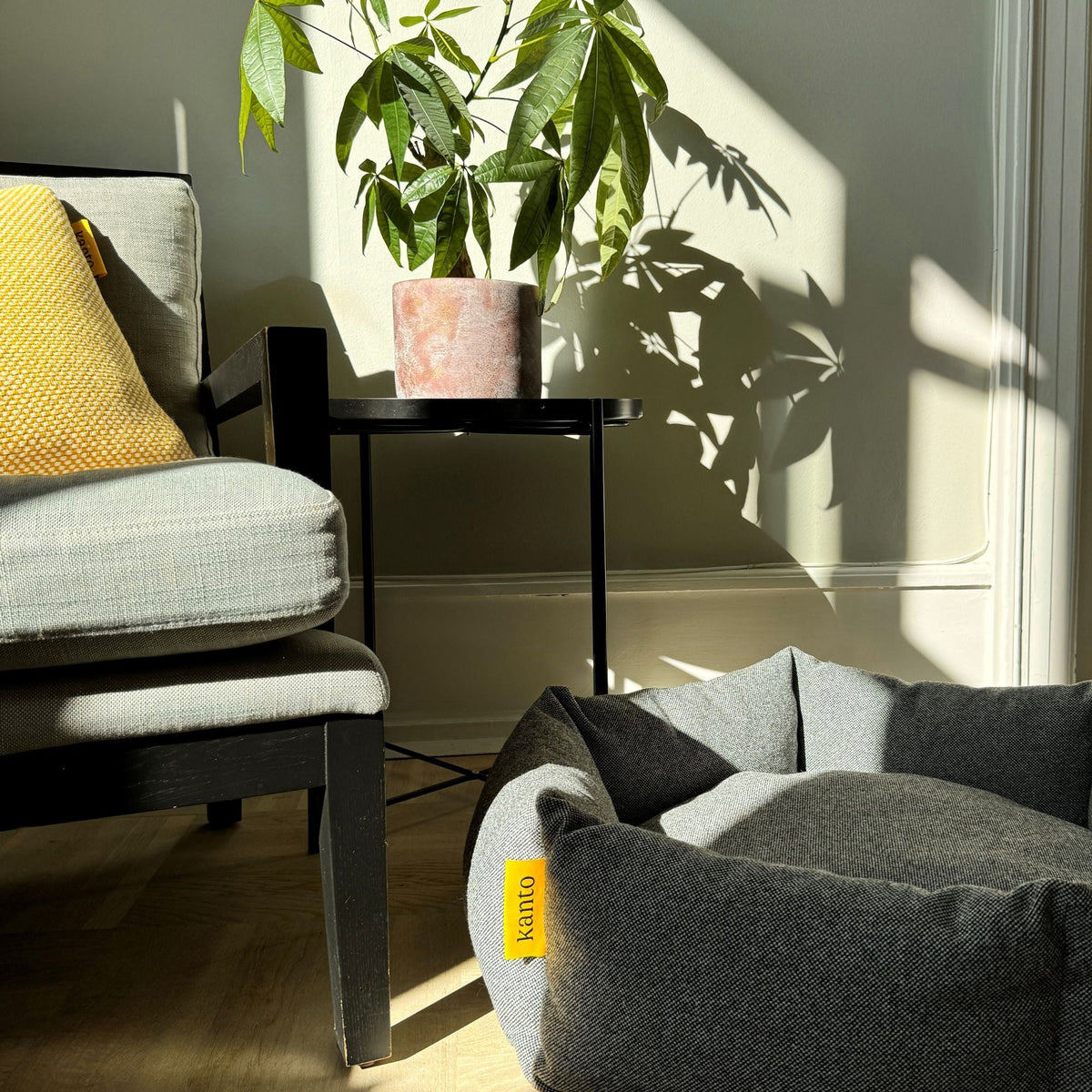Luoto Dog Bed - Premium