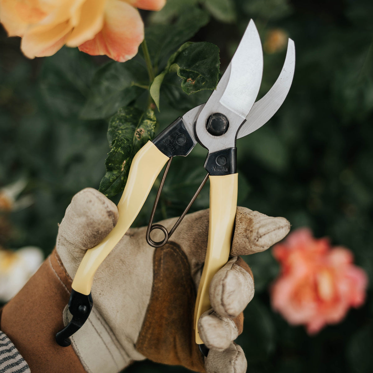 Mainichi Secateurs
