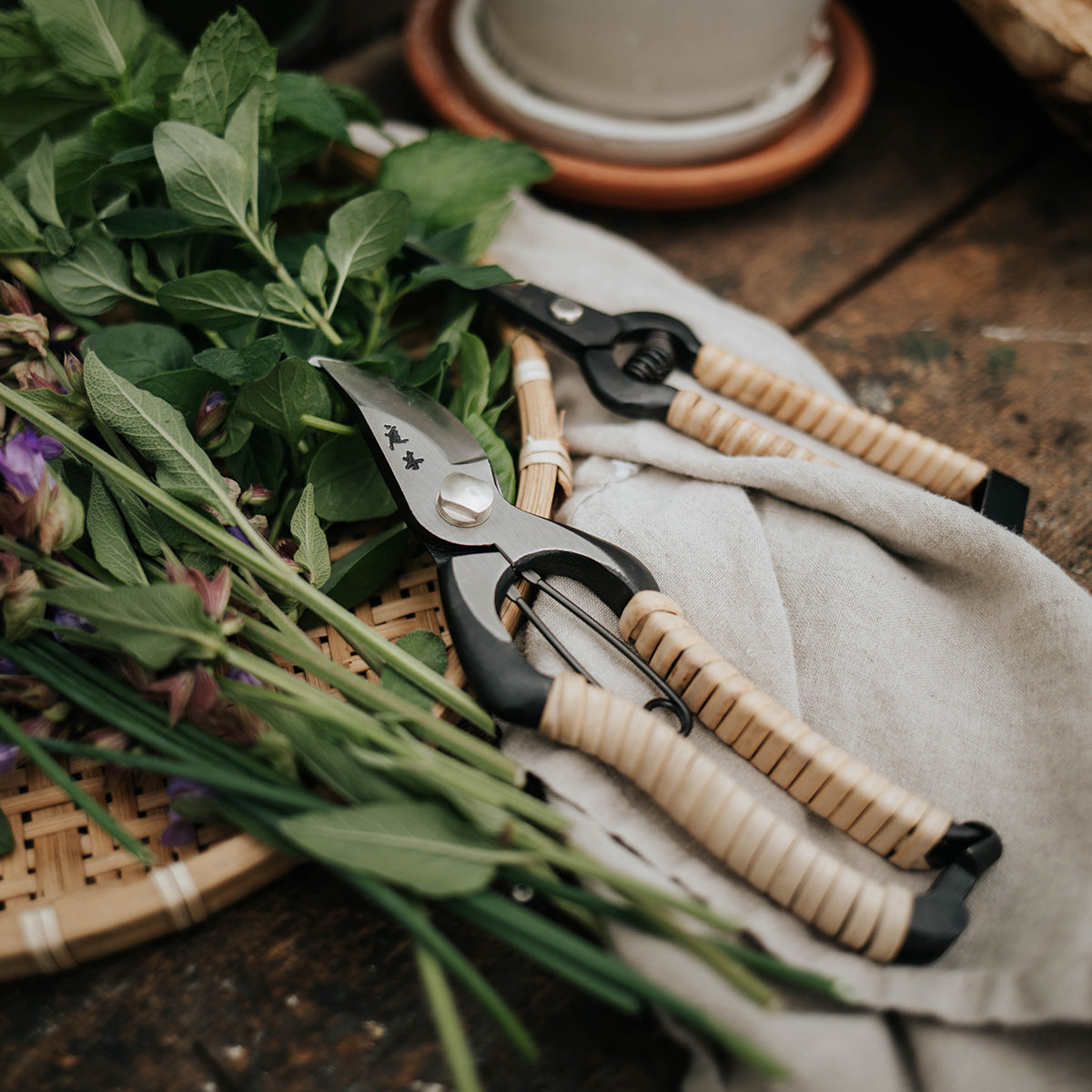 Fujimaki Rattan Secateurs