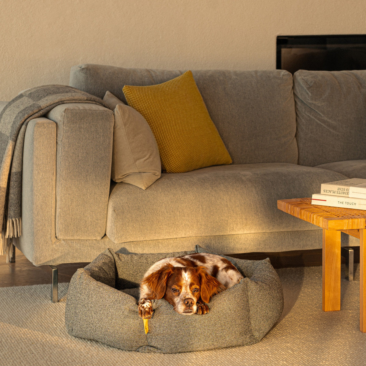 Luoto Dog Bed - Premium