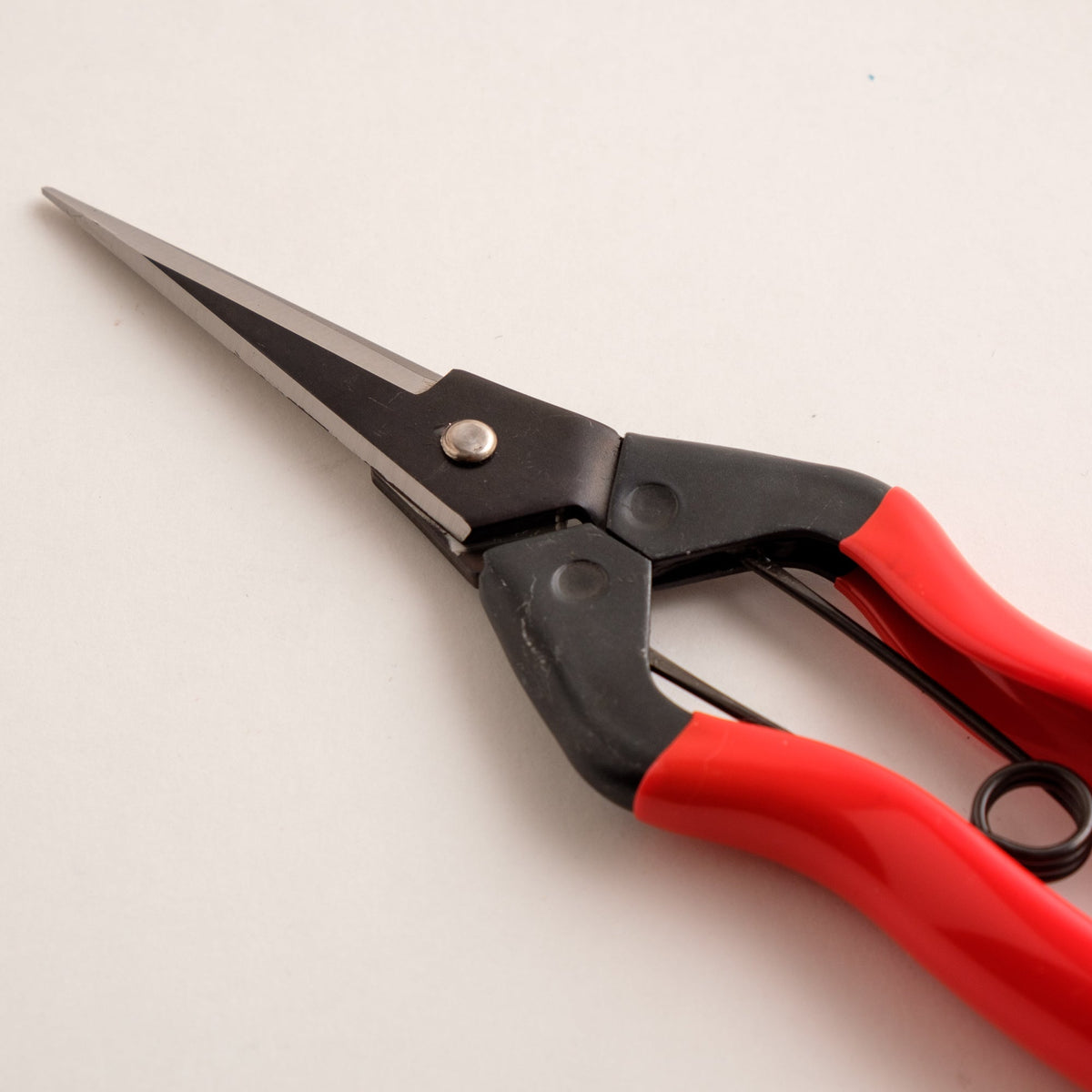 Garden Snips