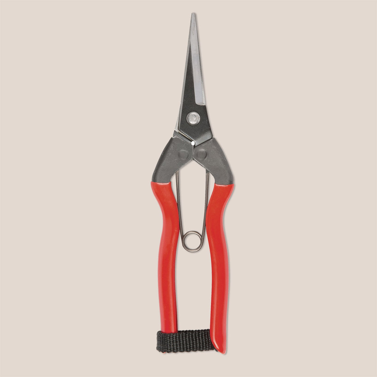 Garden Snips