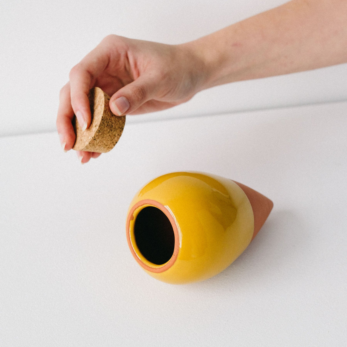 Olla Self-Watering Pot - Glaze